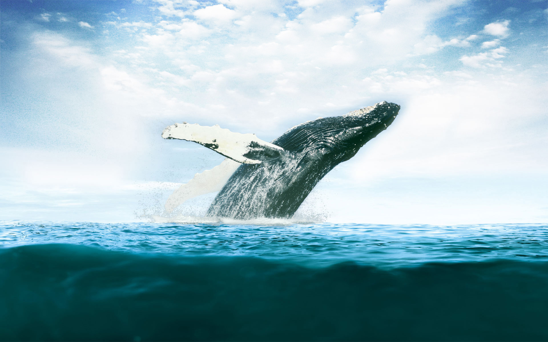 full screen background image